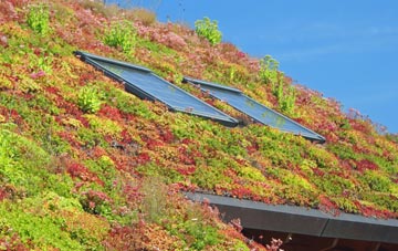 Stacksford living roof systems